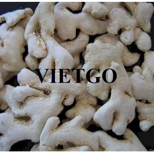 Cơ hội xuất khẩu gừng khô đến thị trường Ấn Độ