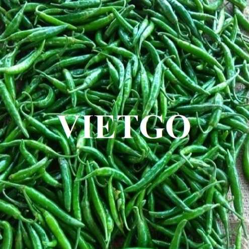 Cơ hội xuất khẩu ớt xanh đến thị trường Ấn Độ