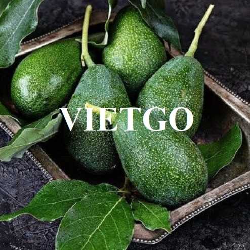 Cơ hội hợp tác xuất khẩu bơ sang thị trường Thái Lan
