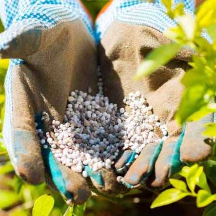 I am looking for NPK suppliers to Mauritius 