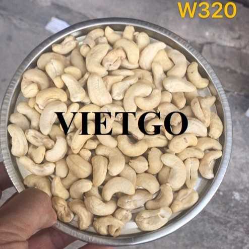 Cơ hội xuất khẩu hạt điều nhân trắng W320 đến thị trường Trung Quốc