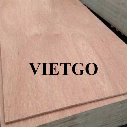 Thương vụ xuất khẩu gỗ dán đến thị trường Ấn Độ