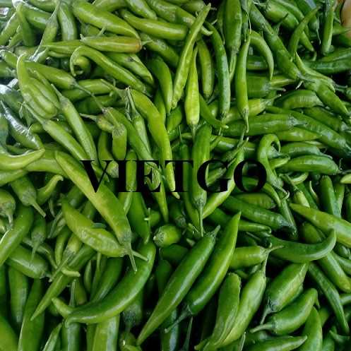 Cơ hội giao thương xuất khẩu ớt đến thị trường Ấn Độ