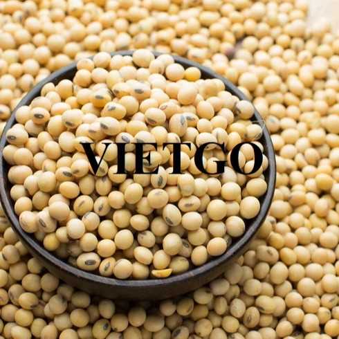 Cơ hội xuất khẩu đậu nành sang thị trường Thổ Nhĩ Kỳ