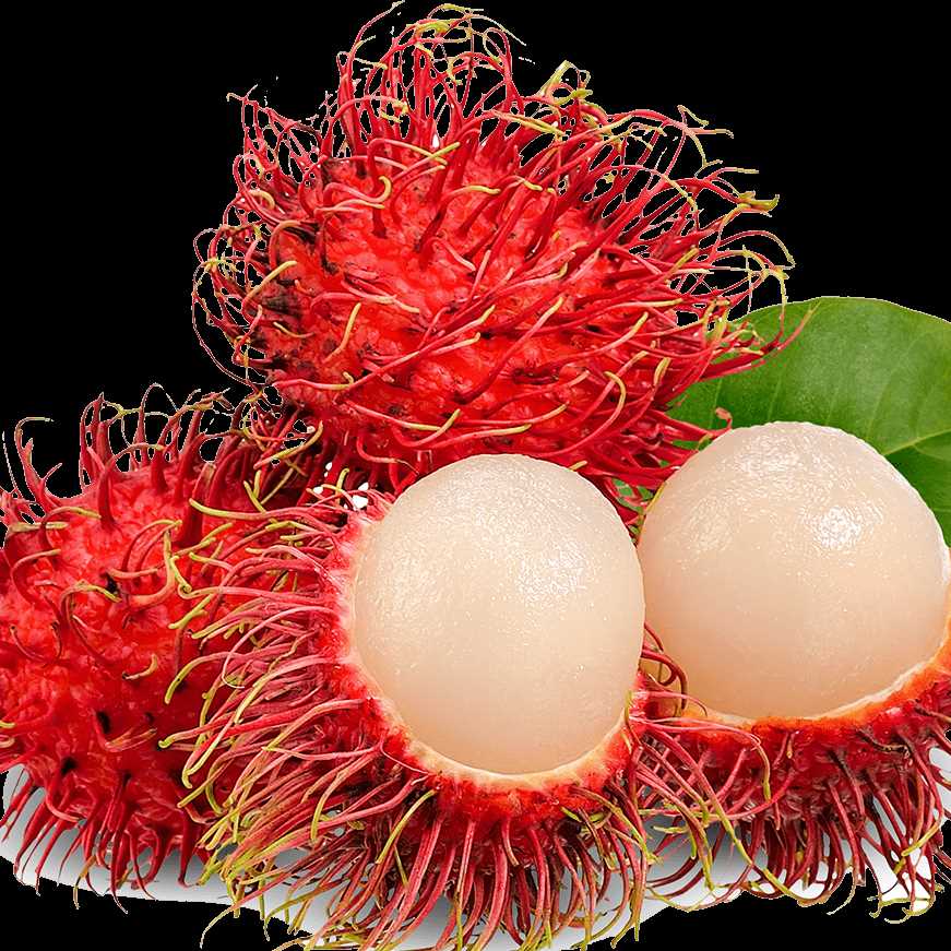 i want to buy Rambutan