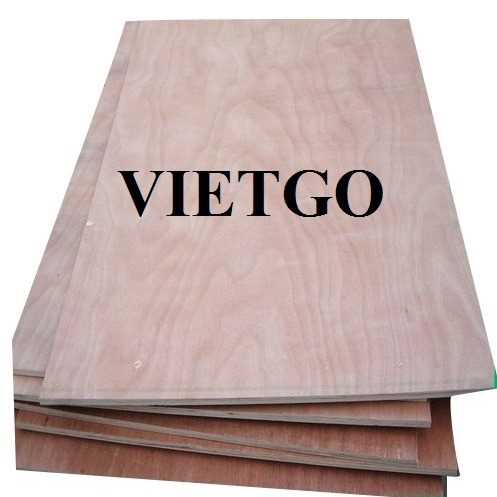 Thương vụ xuất khẩu gỗ dán đến thị trường Ấn Độ