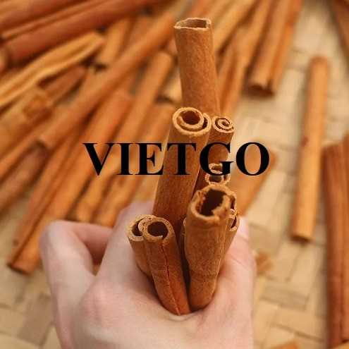 Cơ hội xuất khẩu quế ống sáo sang thị trường Ấn Độ