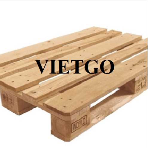 Thương vụ xuất khẩu sản phẩm pallet đến thị trường Ba Lan 