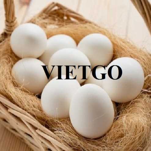Cơ hội xuất khẩu trứng sang thị trường UAE