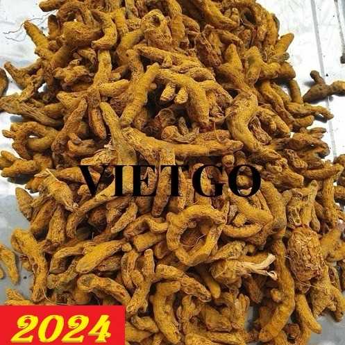 Cơ hội hợp tác xuất khẩu nghệ đến thị trường Ấn Độ