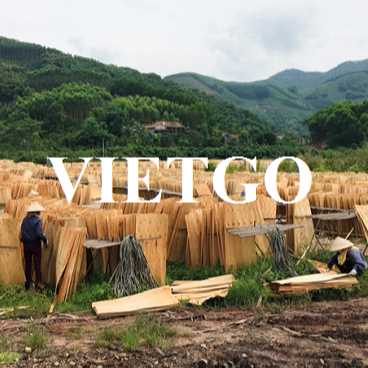 Thương vụ xuất khẩu ván bóc sang thị trường Ấn Độ