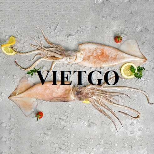 Cơ hội xuất khẩu mực sang thị trường Brazil