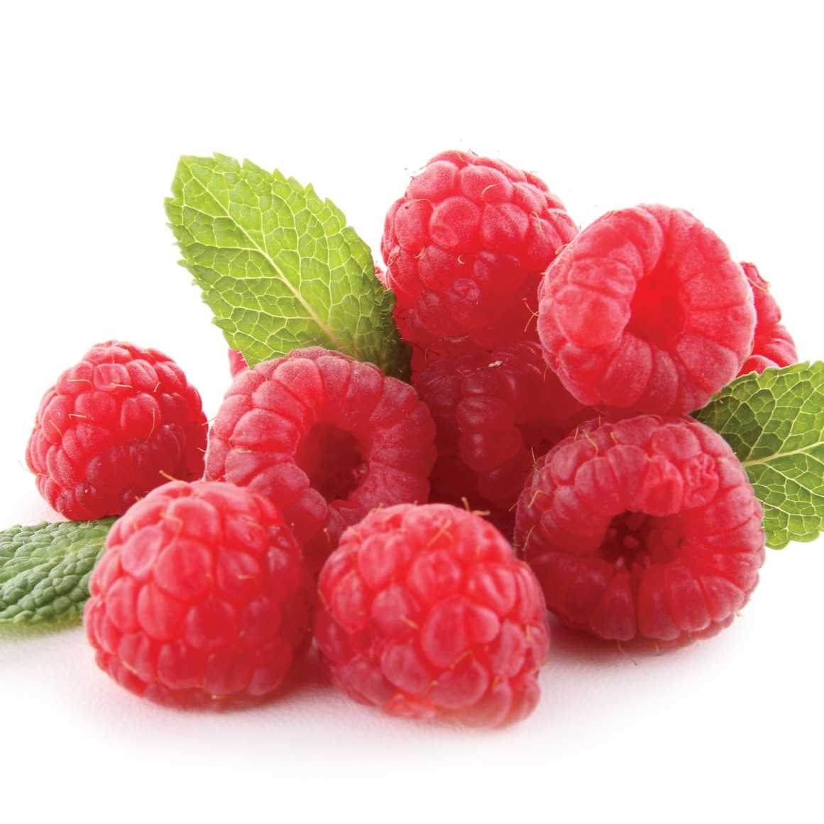 I need Raspberries