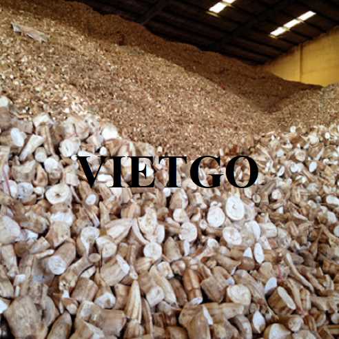 Thương vụ hợp tác xuất khẩu sắn lát sang thị trường Trung Quốc