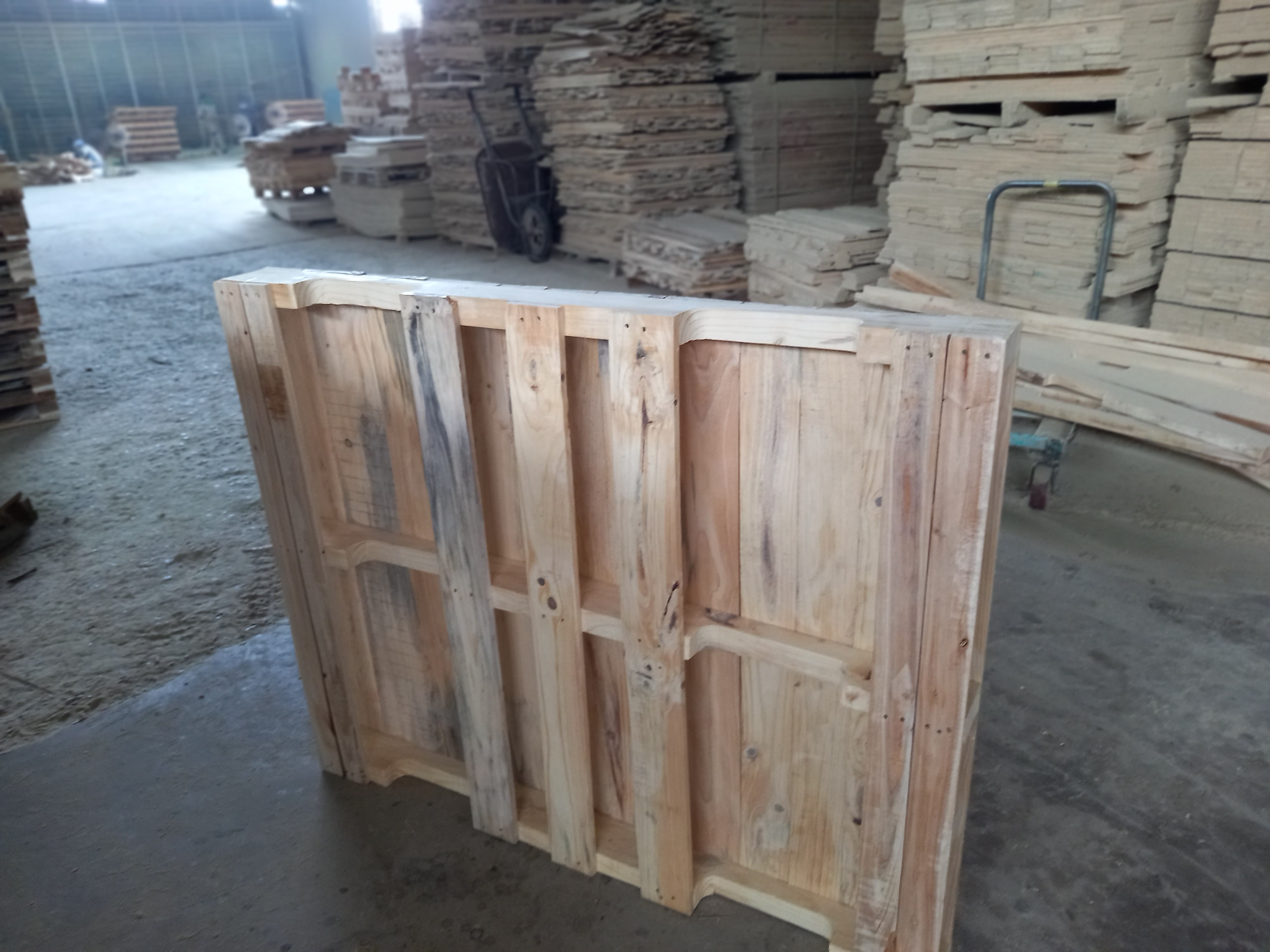 Cần tìm cước biển cho hàng pallet đi Đức