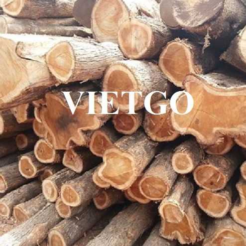 Thương vụ xuất khẩu gỗ teak tròn sang thị trường Ấn Độ