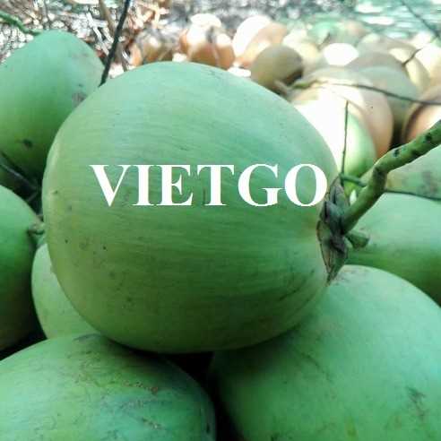 Cơ hội xuất khẩu dừa đến thị trường UAE