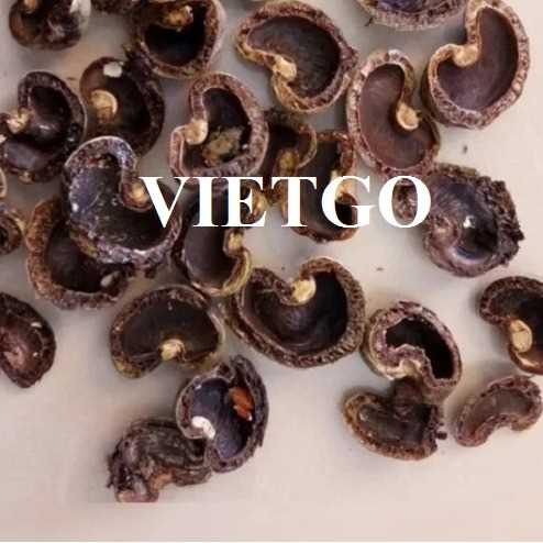 Thương vụ xuất khẩu vỏ hạt điều sang thị trường Bulgaria