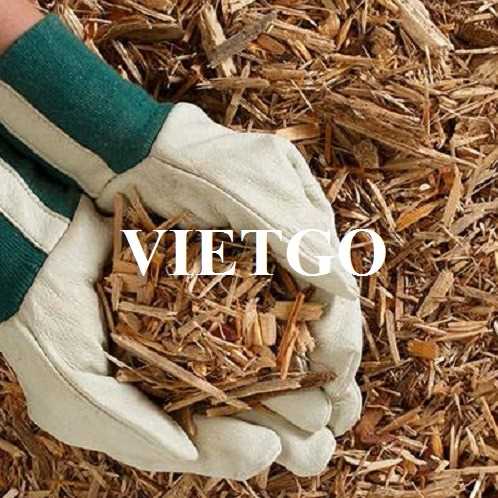 Thương vụ xuất khẩu gỗ vụn sang thị trường Trung Quốc