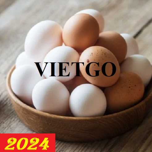 Cơ hội hợp tác xuất khẩu trứng gà cùng vị khách hàng đến từ Indonesia
