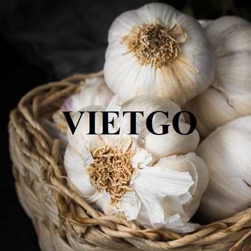 Cơ hội xuất khẩu tỏi sang thị trường Bangladesh