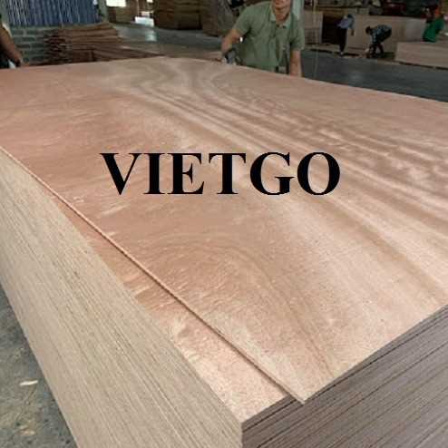 Thương vụ xuất khẩu gỗ dán sang thị trường Ấn Độ