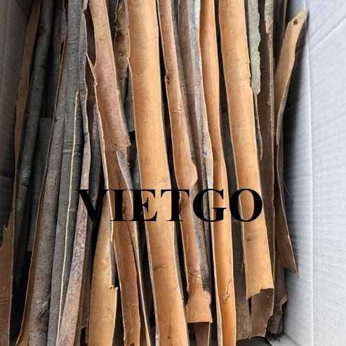 Thương vụ xuất khẩu quế sang thị trường Ấn Độ