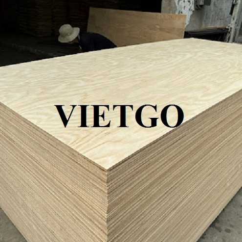 Thương vụ xuất khẩu gỗ dán sang thị trường Ấn Độ