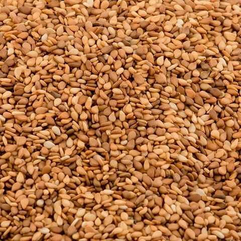 I AM LOOKING FOR RED SESAME