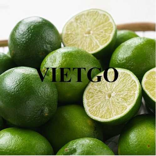Thương vụ xuất khẩu chanh xanh không hạt đến thị trường Malaysia