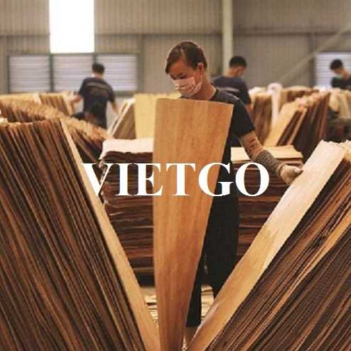 Thương vụ xuất khẩu ván bóc sang thị trường Nam Phi