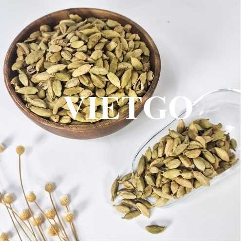 Thương vụ hợp tác xuất khẩu thảo quả sang thị trường Ấn Độ 