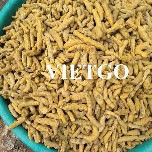 Cơ hội hợp tác xuất khẩu nghệ khô đến thị trường Malaysia