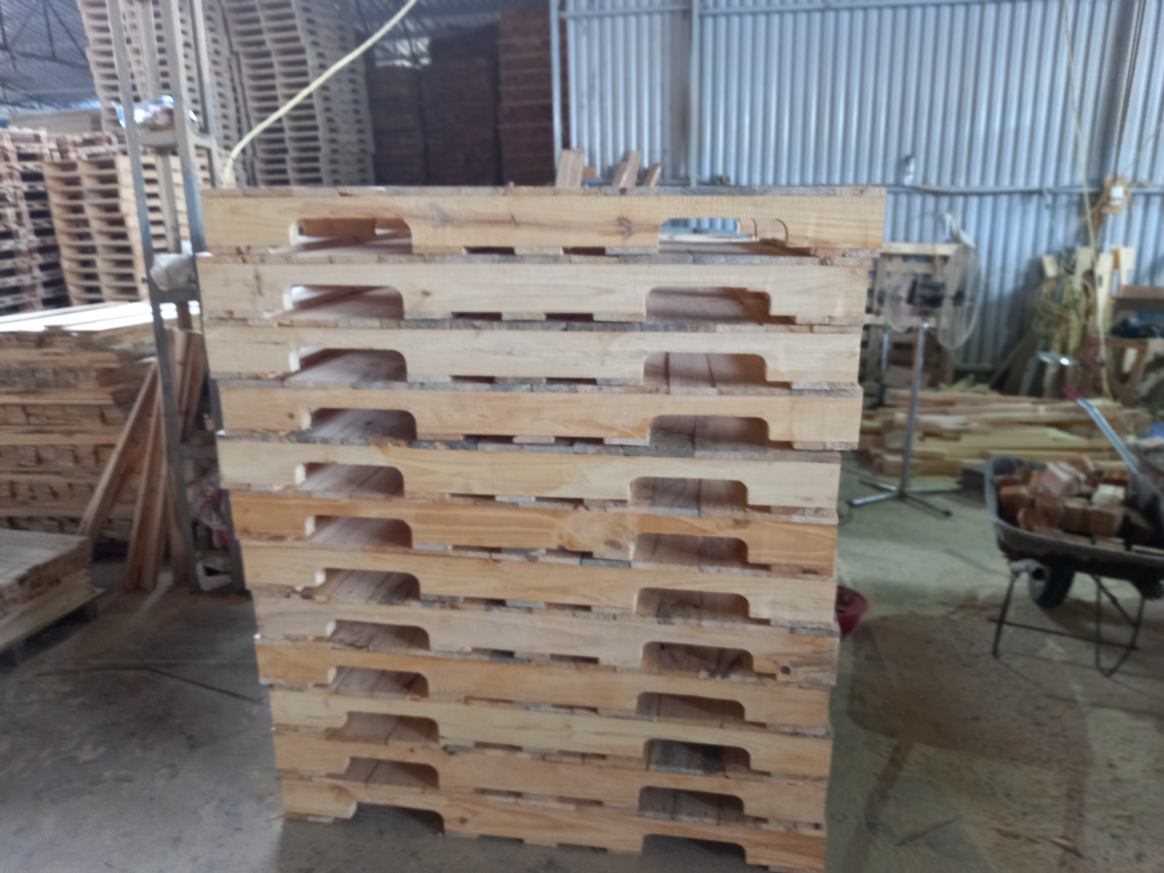 Cần tìm cước biển cho hàng Pallet đi Ấn Độ