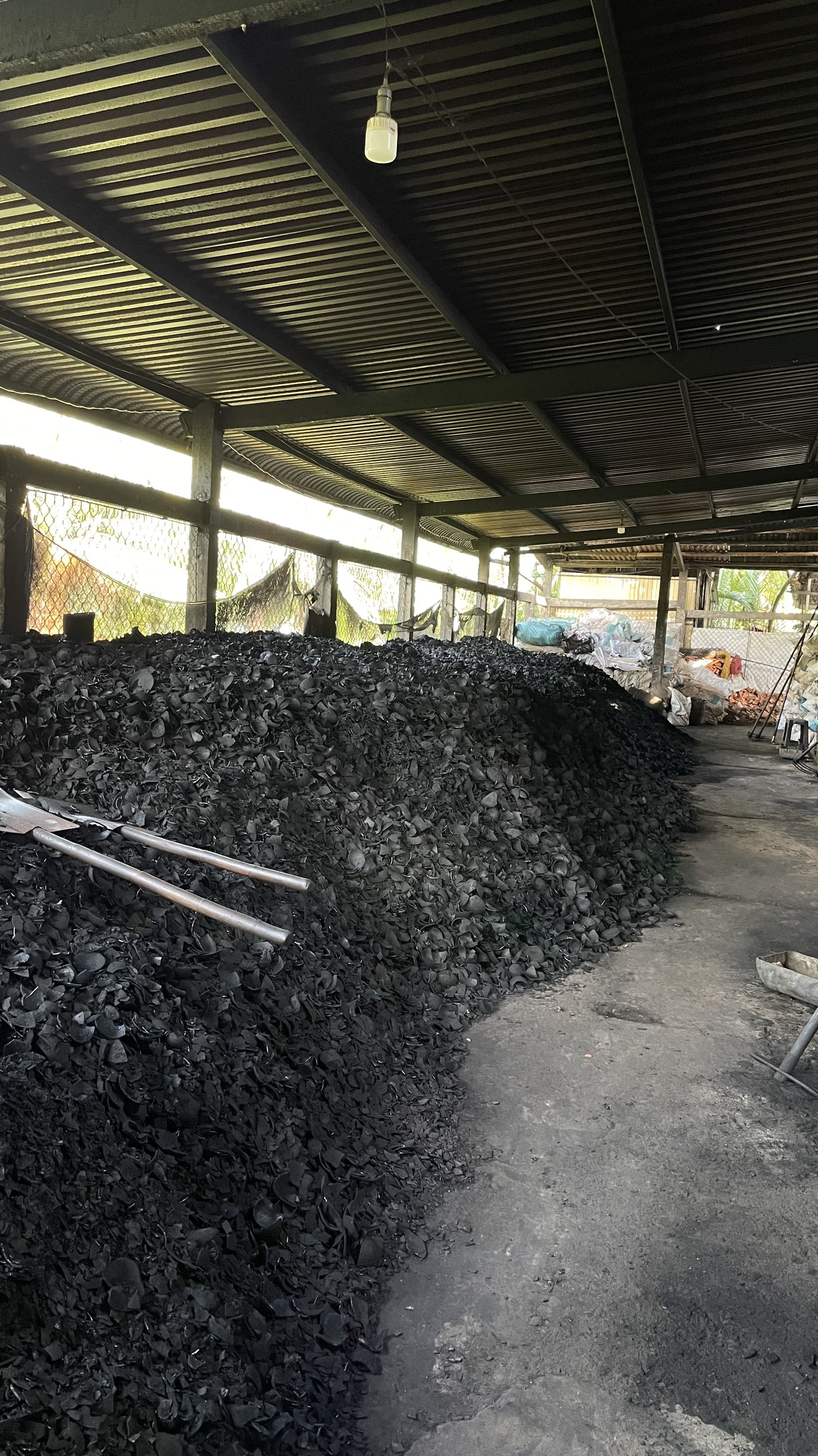 Cần tìm FWD báo cước than gáo dừa đi Trung Quốc