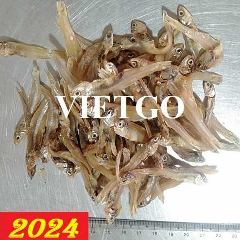 Cơ hội giao thương xuất khẩu cá cơm khô sang thị trường Ấn Độ
