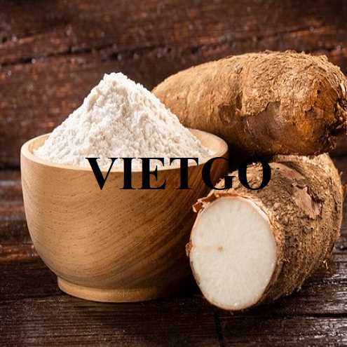 Cơ hội hợp tác xuất khẩu tinh bột sắn sang thị trường Trung Quốc