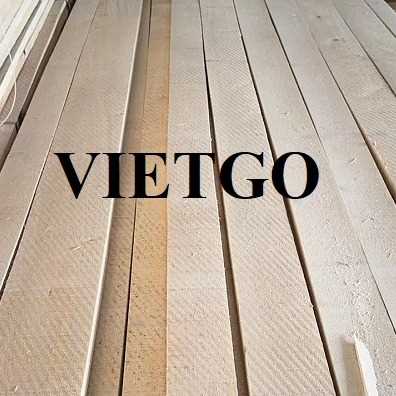 Đối tác người Trung Quốc hiện đang cần tìm nhà cung cấp gỗ bạch dương