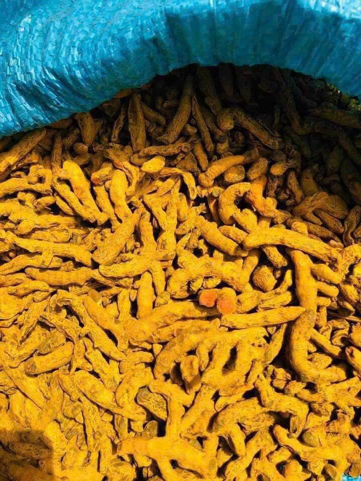 Cần tìm đơn vị vận tải vận chuyển hàng nghệ khô đến Malaysia