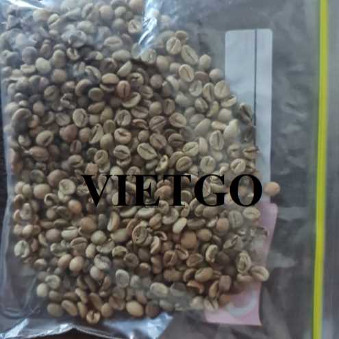 Cơ hội hợp tác xuất khẩu hạt cà phê xanh Robusta sang thị trường Thổ Nhĩ Kỳ