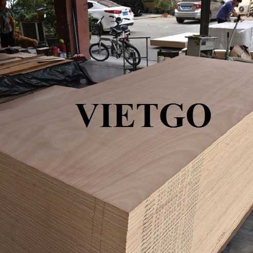 Thương vụ xuất khẩu gỗ dán sang thị trường Ấn Độ