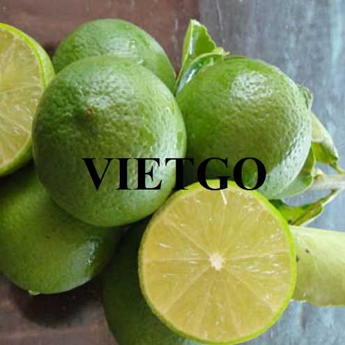 Cơ hội hợp tác xuất khẩu chanh xanh không hạt đến thị trường UAE