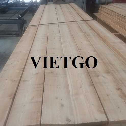 Cơ hội xuất khẩu gỗ thông xẻ sang thị trường Ai Cập