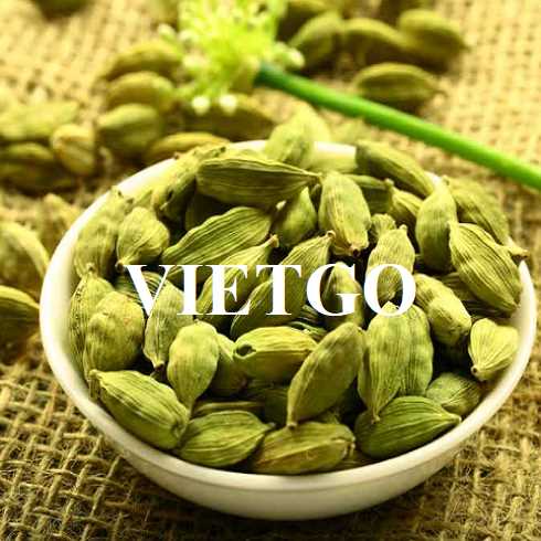 Thương vụ hợp tác xuất khẩu thảo quả xanh sang thị trường UAE