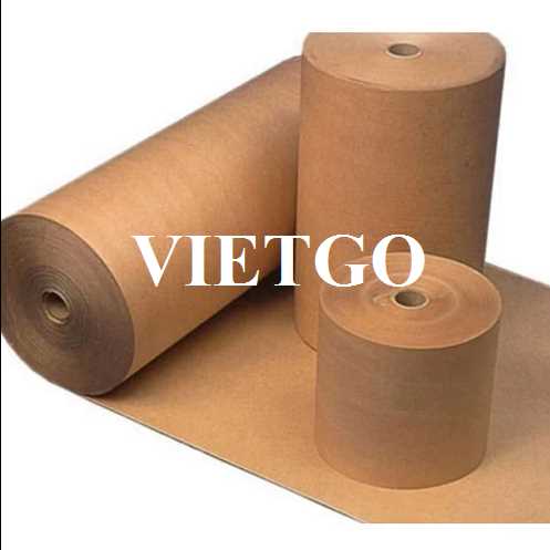Cơ hội xuất khẩu cuộn giấy kraft sang thị trường Thổ Nhĩ Kỳ