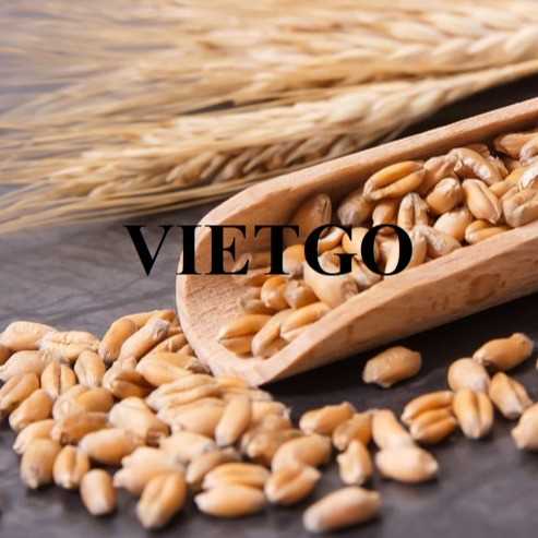 Cơ hội hợp tác xuất khẩu lúa mì sang thị trường Malaysia