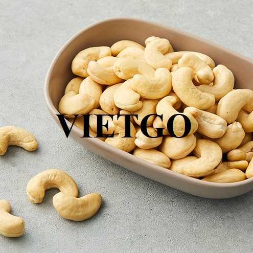 Cơ hội hợp tác xuất khẩu hạt điều w240 và w320 sang thị trường Singapore