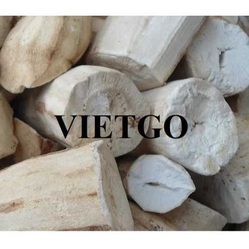 Cơ hội xuất khẩu sắn đến thị trường Bồ Đào Nha