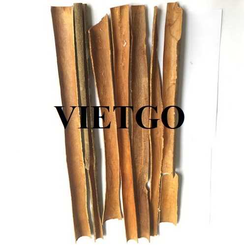 Thương vụ xuất khẩu sản phẩm quế chẻ và quế vụn sang thị trường Ấn Độ