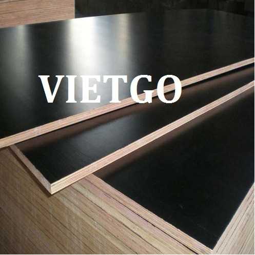 Thương vụ xuất khẩu gỗ dán sang thị trường Ấn Độ